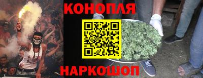 индика Балахна