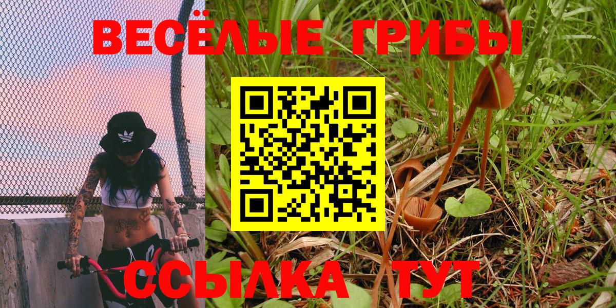 Псилоцибиновые грибы прущие грибы Гурьевск