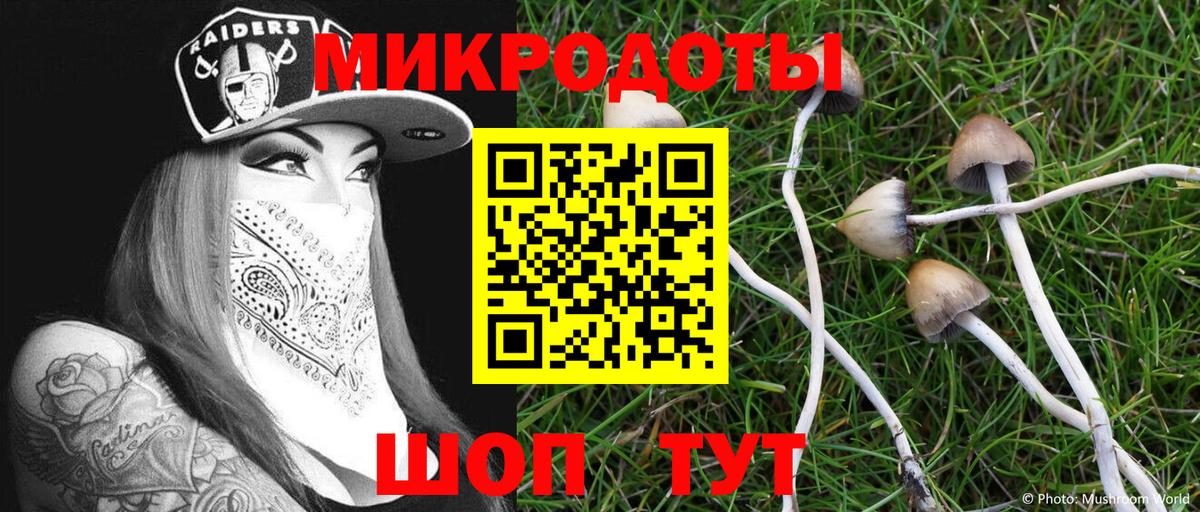 Гурьевск  где продают наркотики  Вход с VPN  Псилоцибиновые грибы Magic Shrooms 